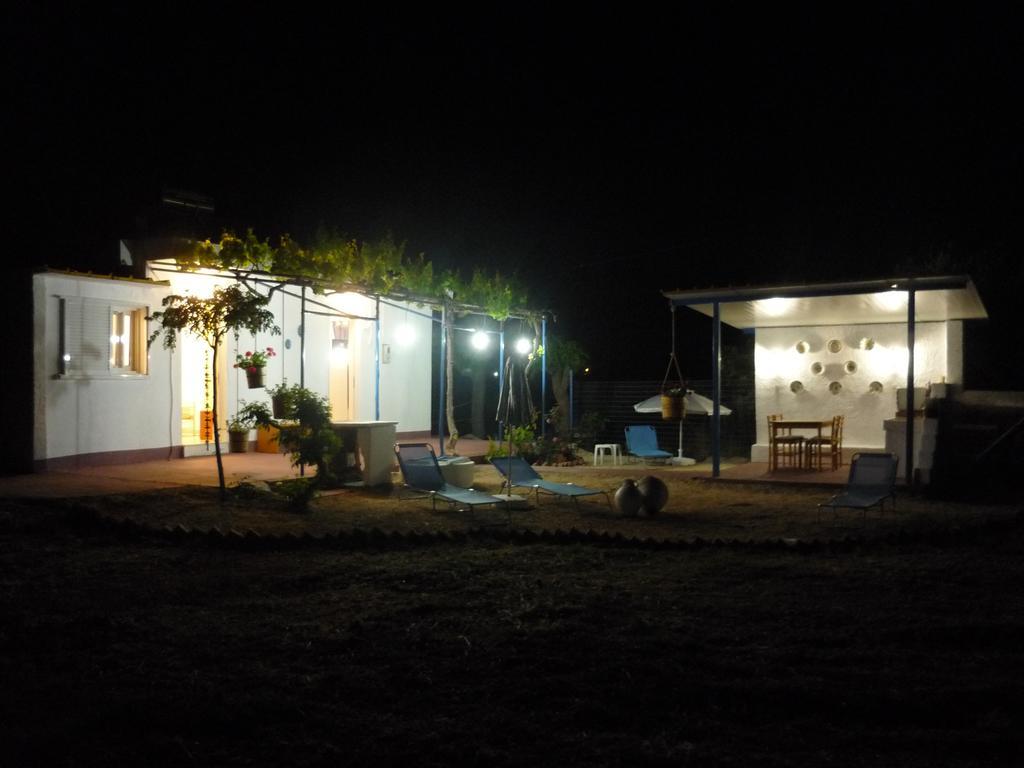 Vineyard Case de vacanță