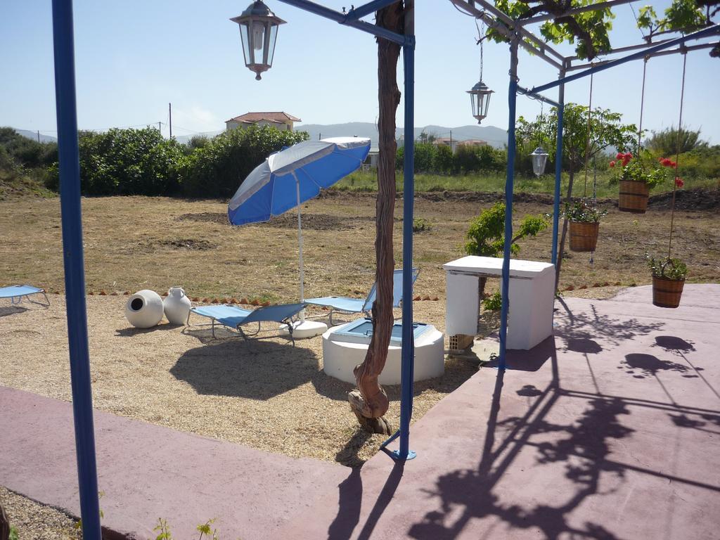 Vineyard