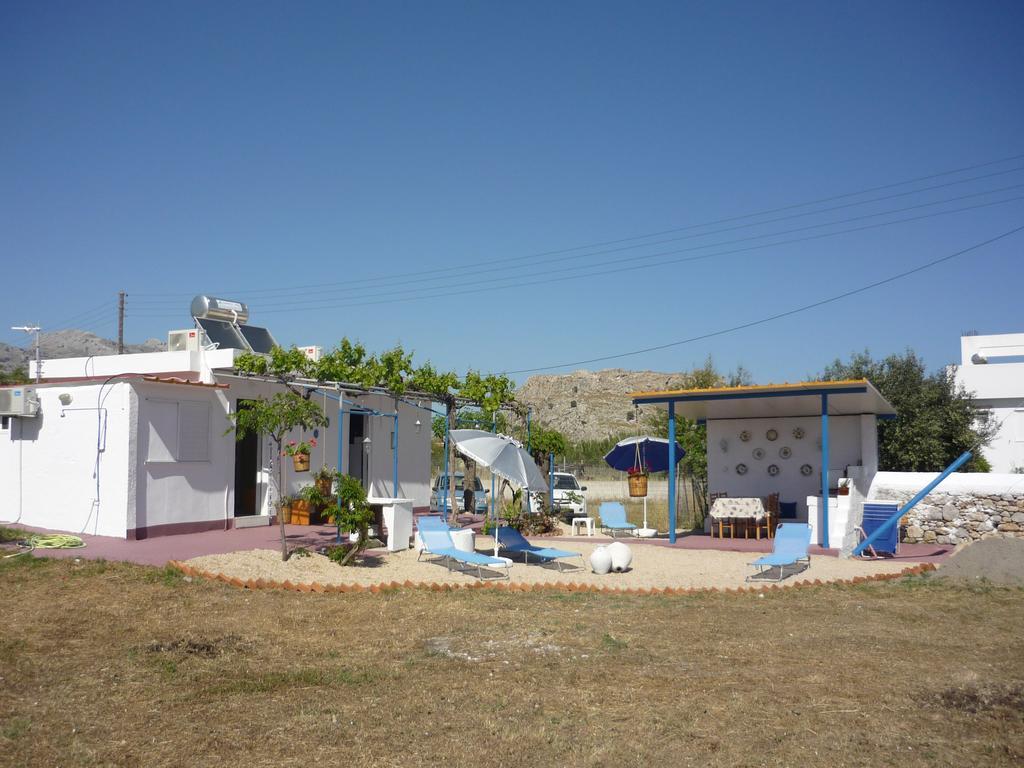 Vineyard